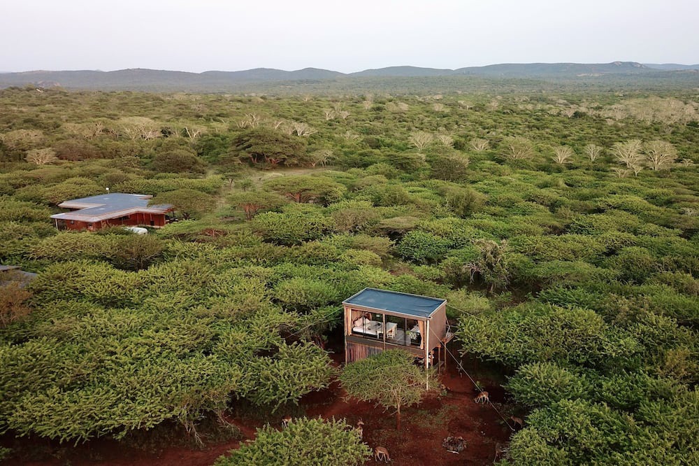 Photo of Outdoor in Hluhluwe