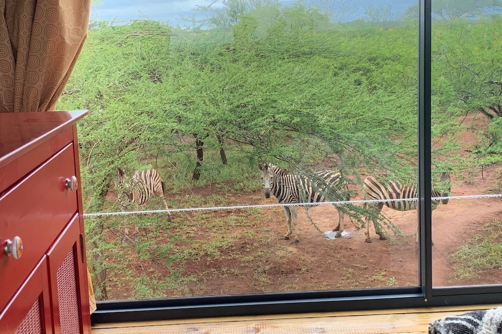 Photo of Others in Hluhluwe