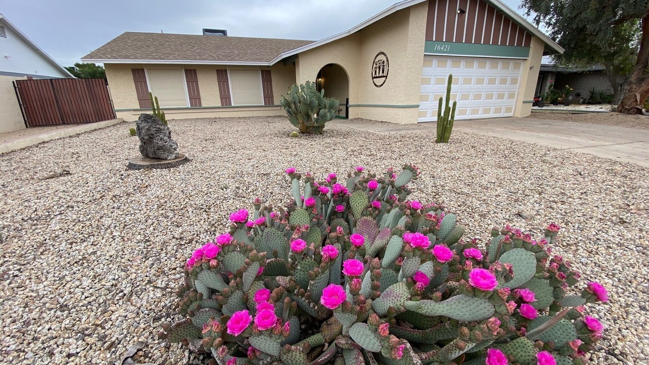 Photo of Outdoor in North Mountain