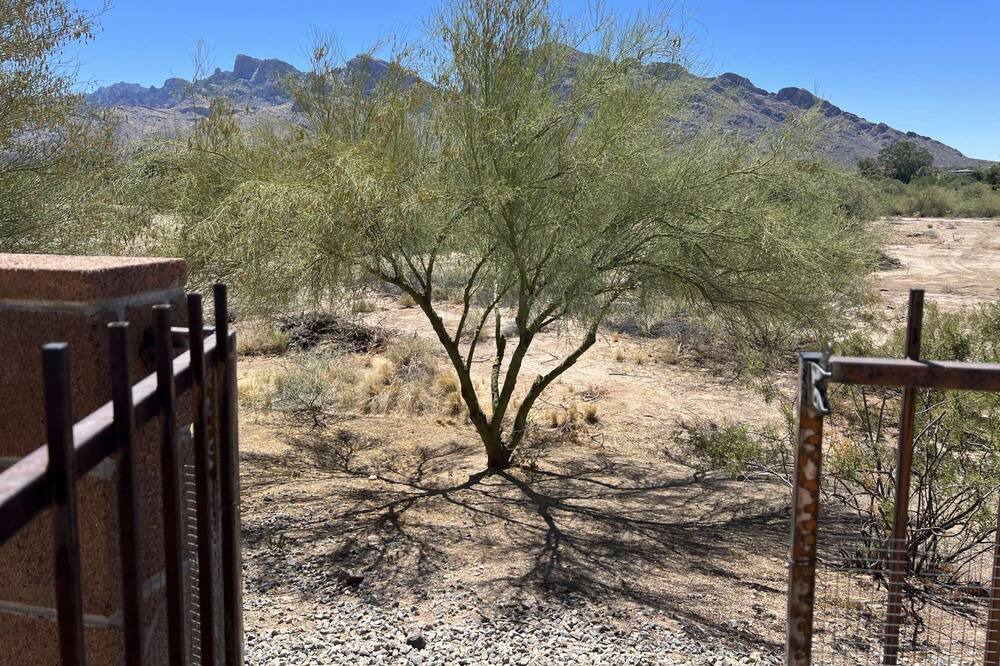 Photo of Others in Oro Valley