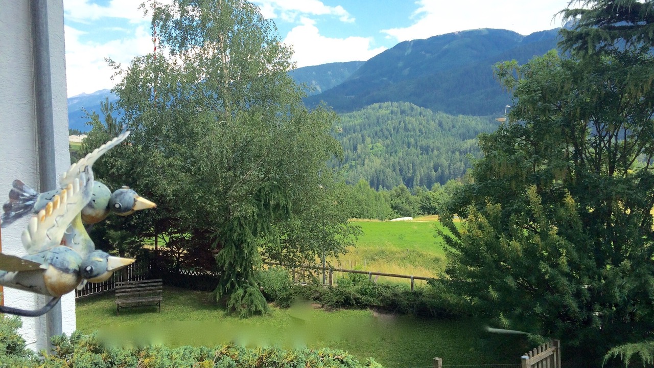 Photo of Others in Castello-Molina di Fiemme