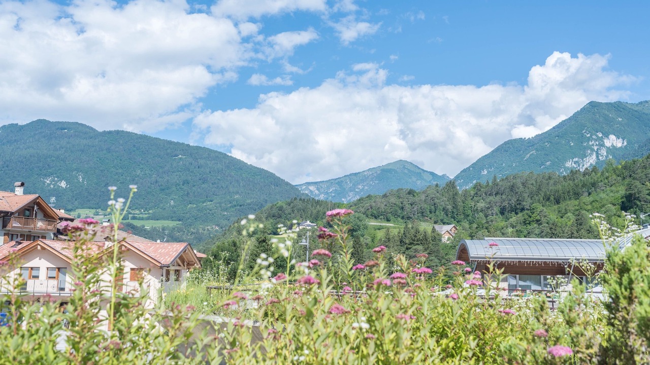 Photo of Outdoor in Ponte Arche