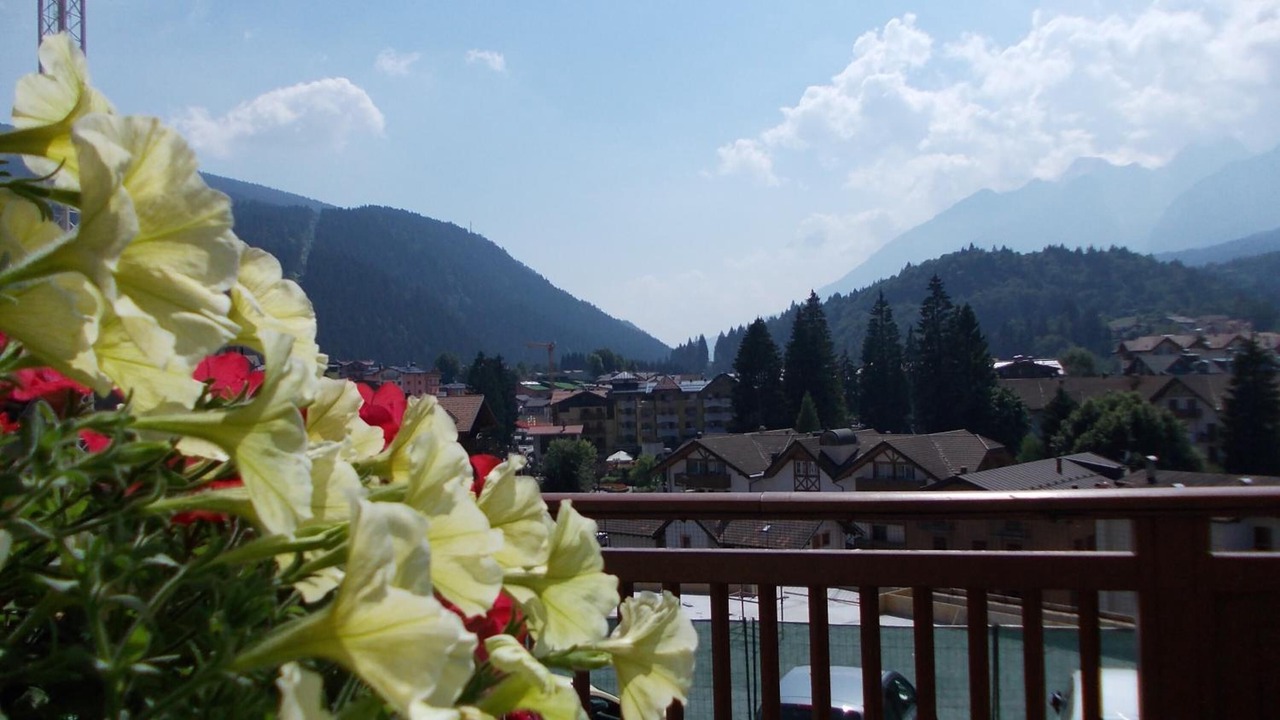 Photo of Patio Balcony in Andalo