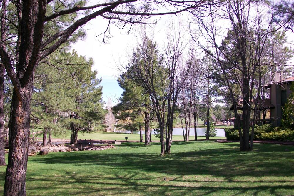 Photo of Outdoor in Pinetop
