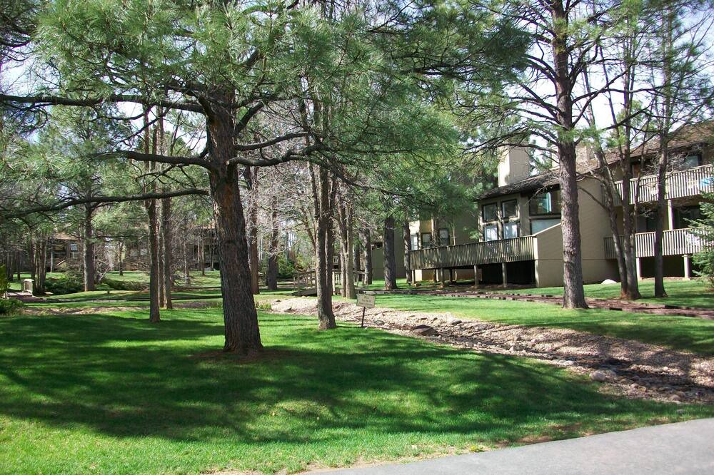 Photo of Outdoor in Pinetop