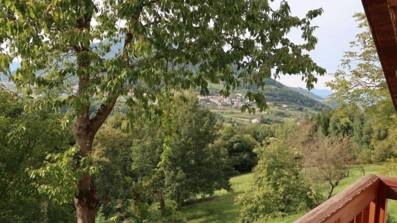 Photo of Outdoor in Calceranica al Lago