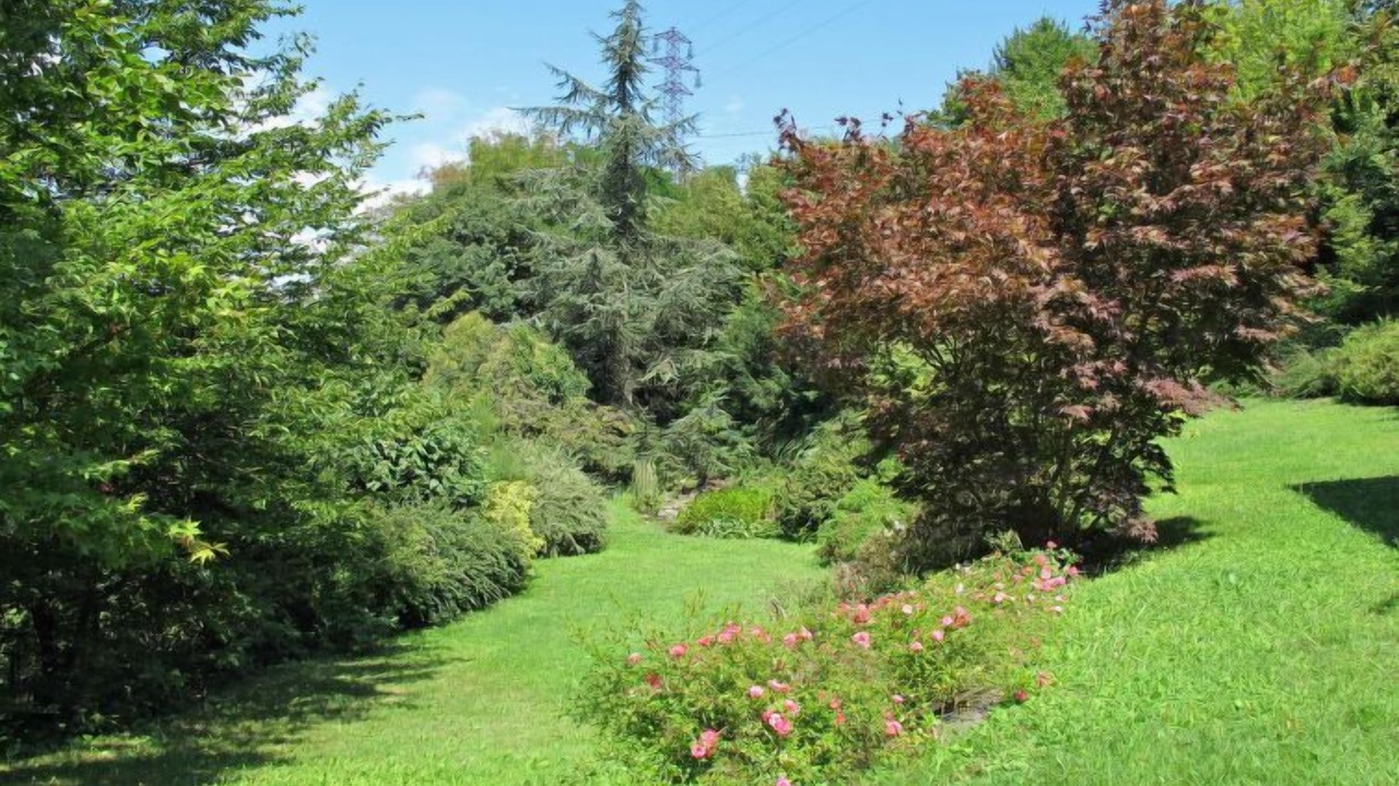 Photo of Outdoor in Susa