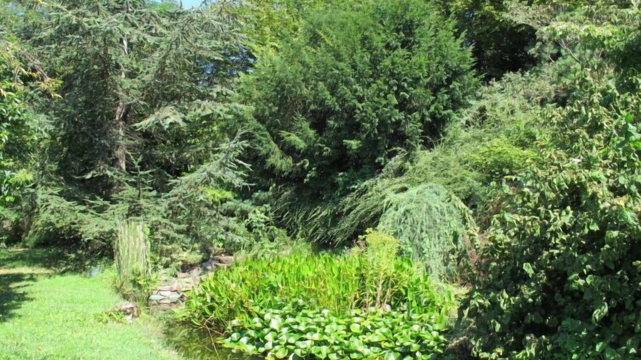 Photo of Outdoor in Susa