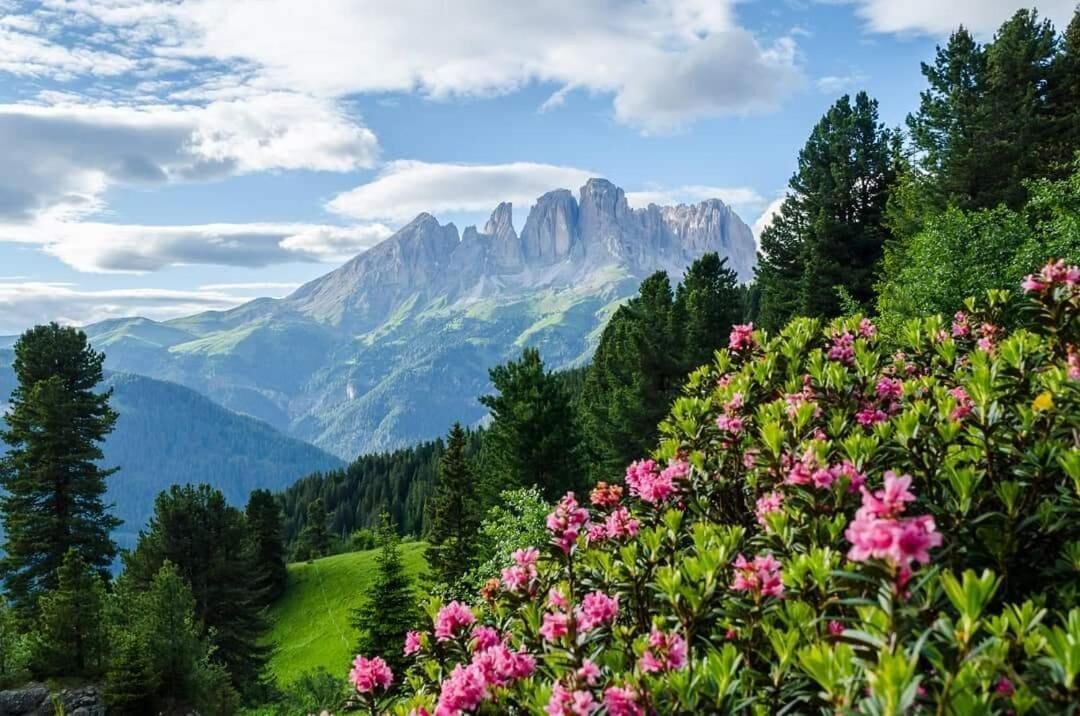Photo of Outdoor in San Giovanni di Fassa