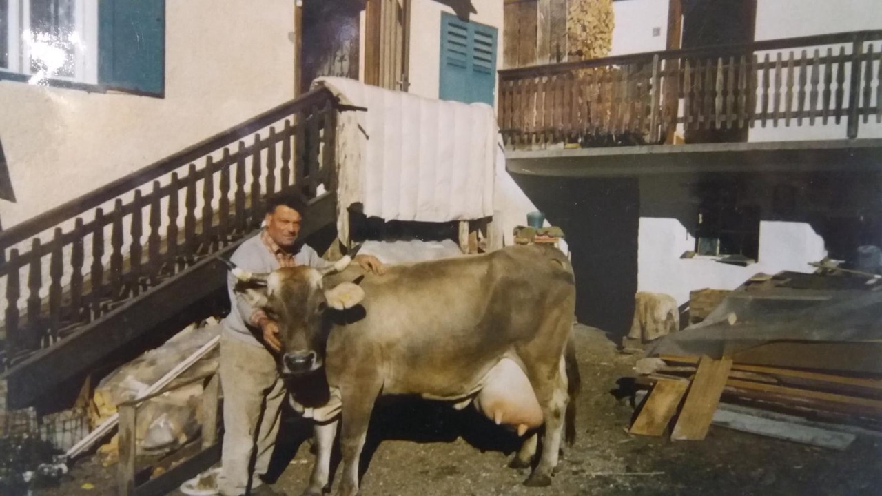 Photo of Others in San Giovanni di Fassa