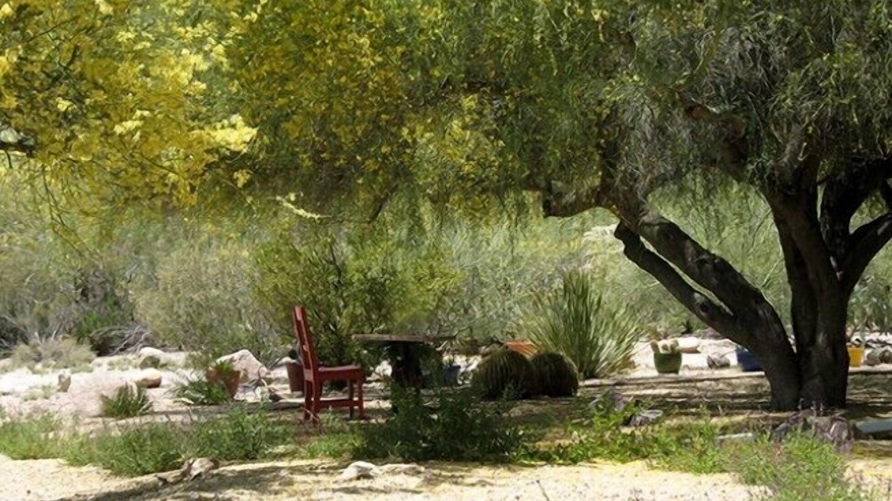 Photo of Outdoor in Tanque Verde