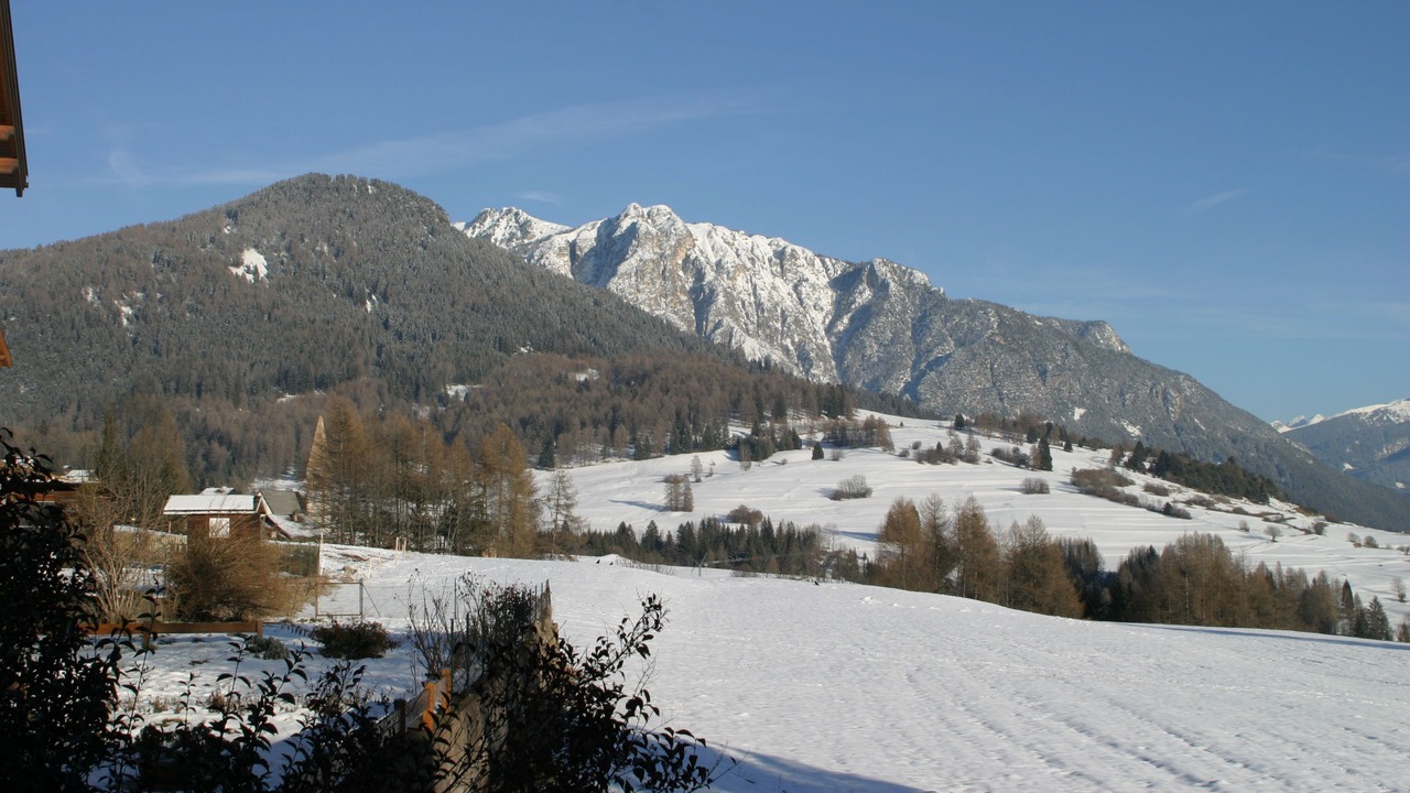 Photo of Others in Daiano
