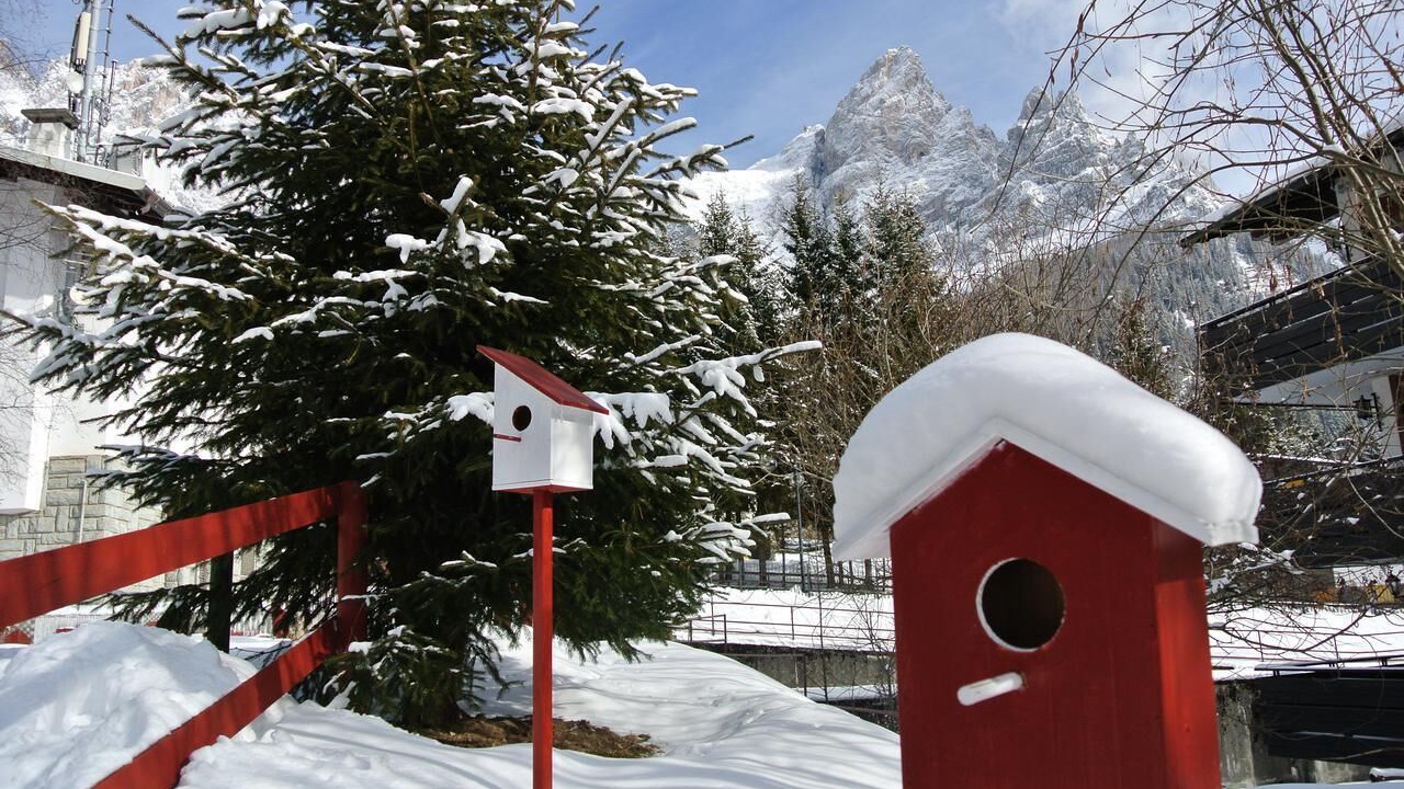 Photo of Outdoor in San Martino di Castrozza