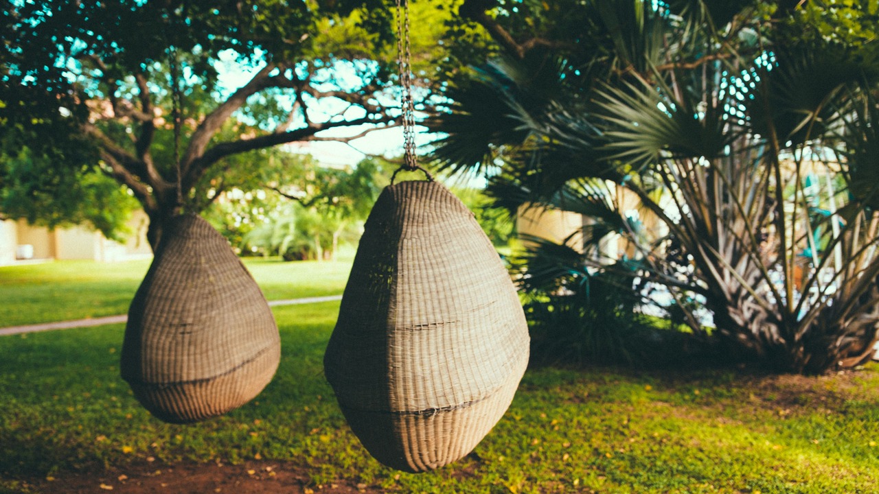 Photo of Outdoor in Mkuze
