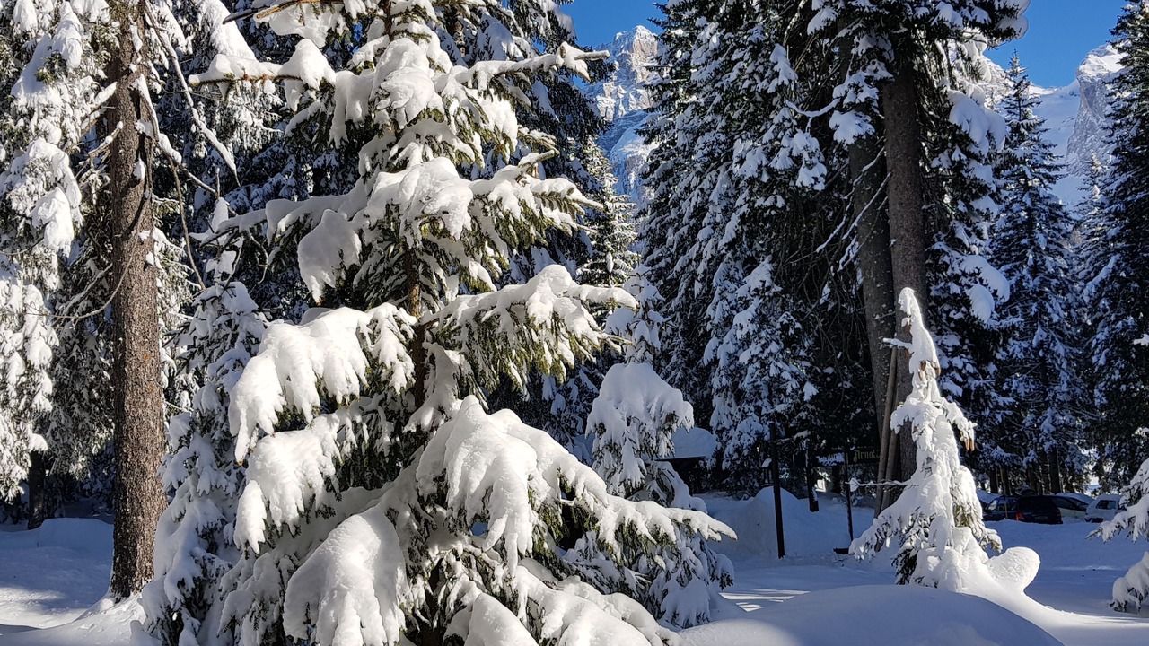 Photo of Outdoor in Campo Carlo Magno