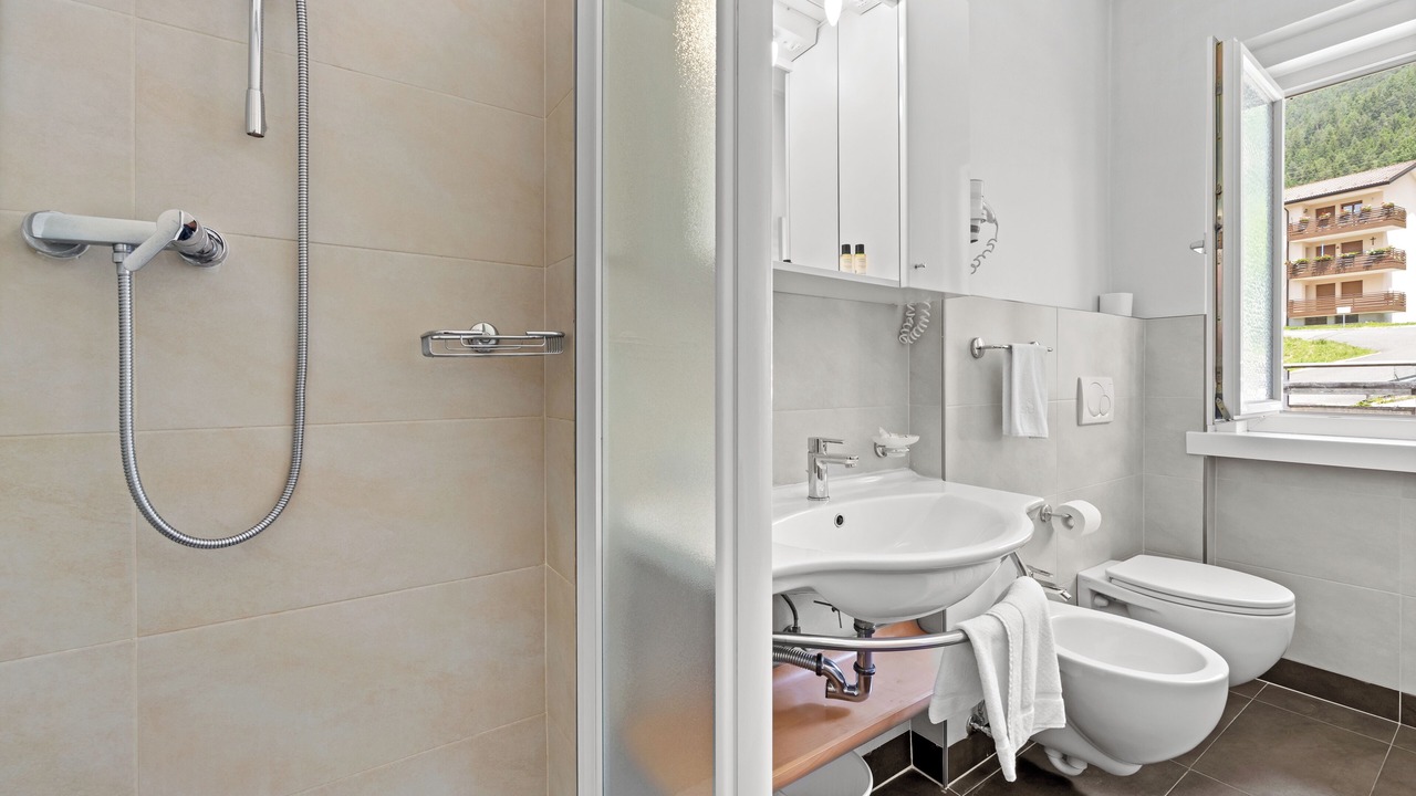 Photo of Bathroom in Tesero