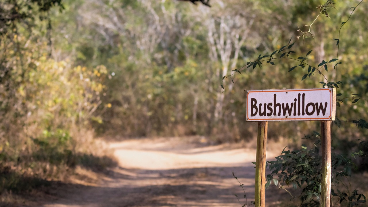 Photo of Outdoor in Hluhluwe