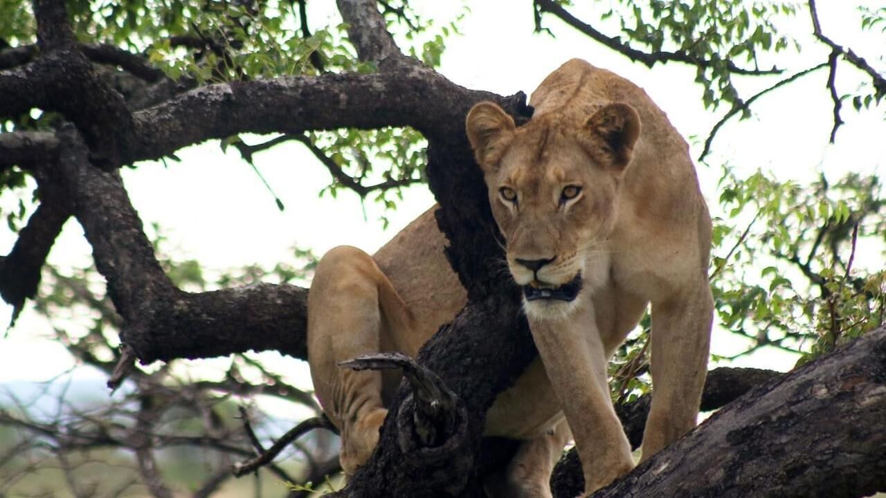 Photo of Others in Jozini