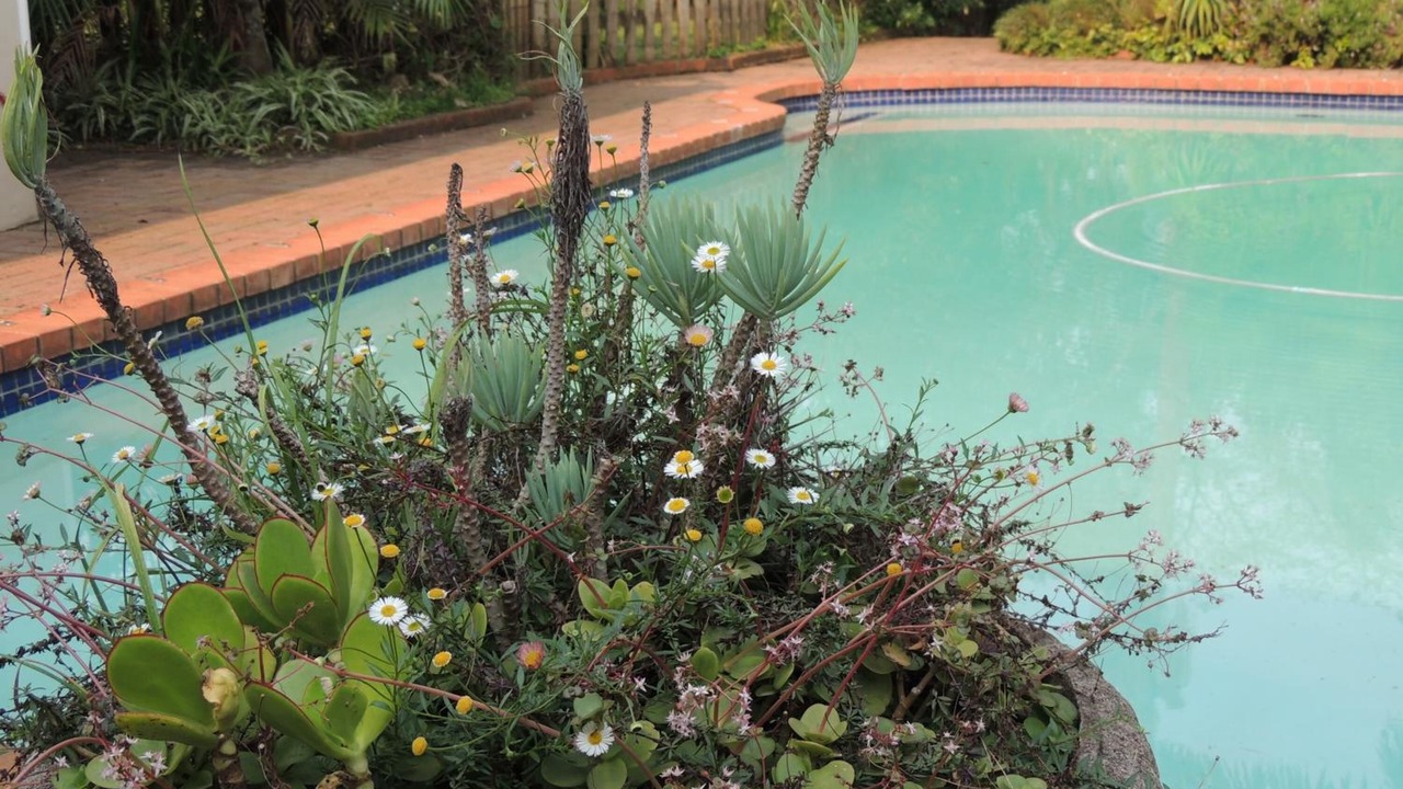 Photo of Outdoor in Hillcrest