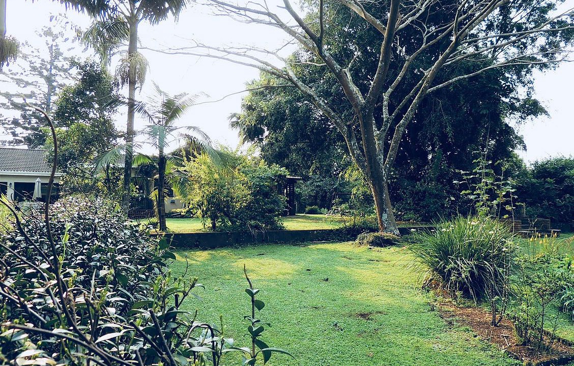 Photo of Outdoor in Hillcrest