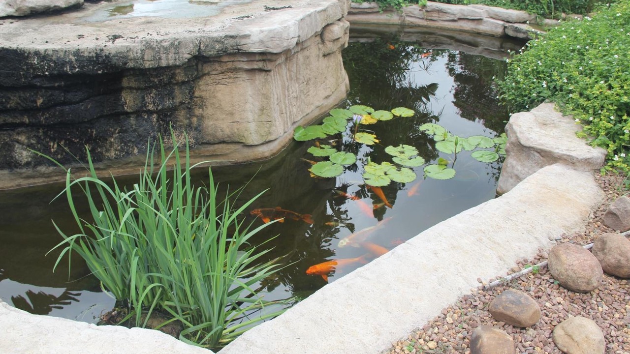 Photo of Outdoor in Kloof