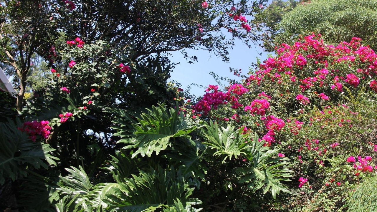 Photo of Outdoor in Kloof