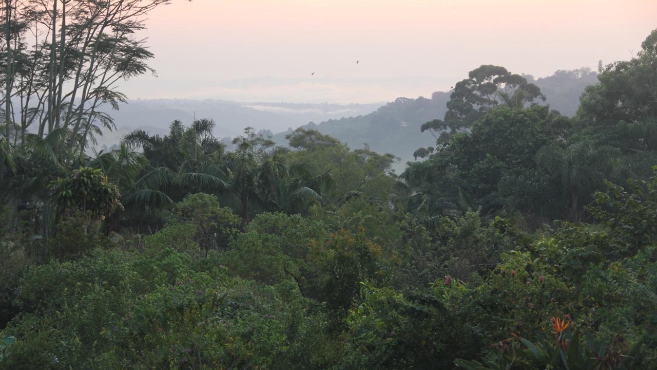 Photo of Others in Kloof