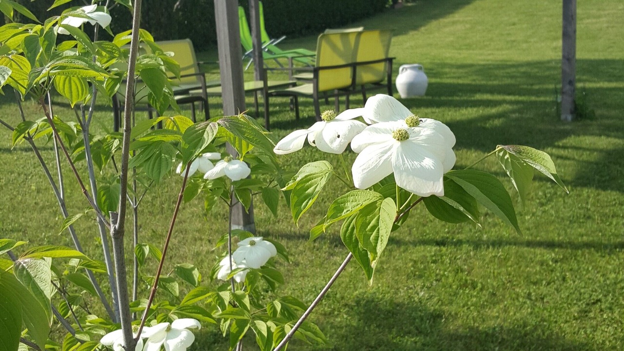 Photo of Outdoor in Roncegno