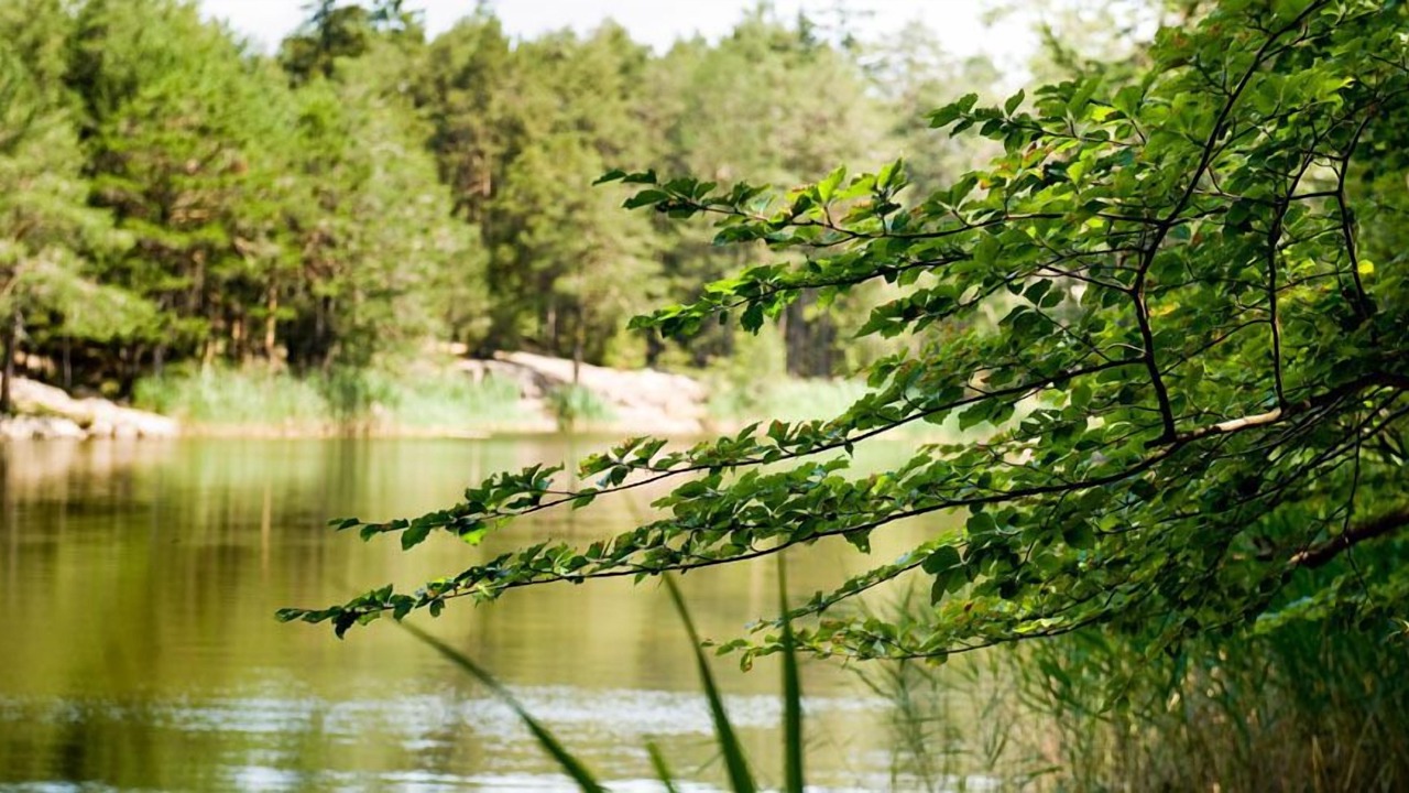 Photo of Outdoor in Aldino