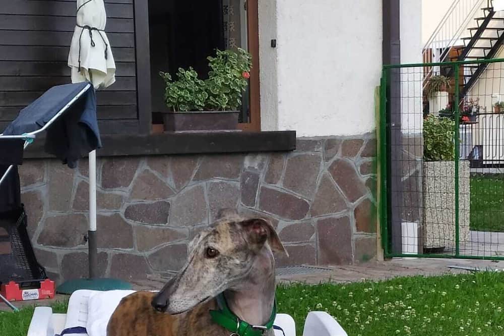 Photo of Outdoor in Sant'Orsola Terme