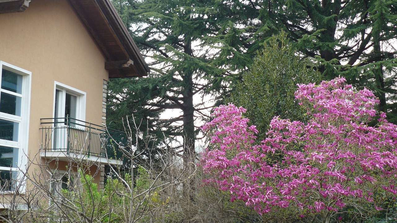 Photo of Outdoor in Barco