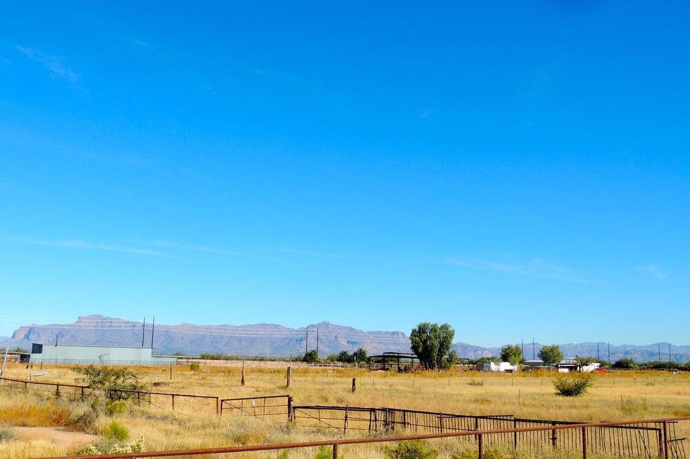 Photo of Others in San Tan Valley