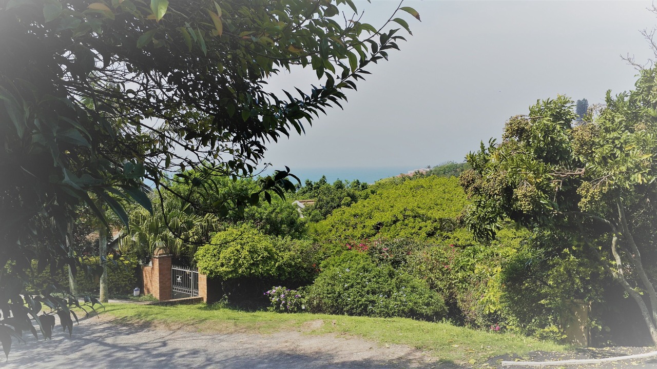 Photo of Outdoor in Salt Rock