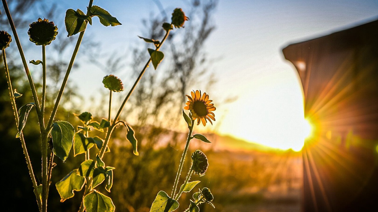 Photo of Outdoor in Sierra Vista Southeast
