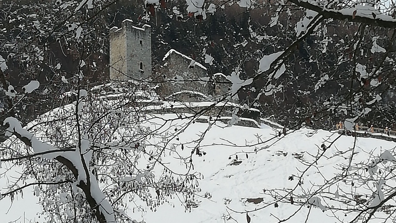 Photo of Others in Bleggio Inferiore