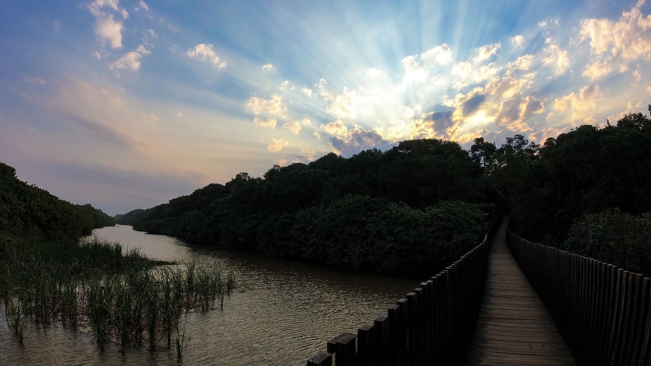 Photo of Outdoor in Mtunzini