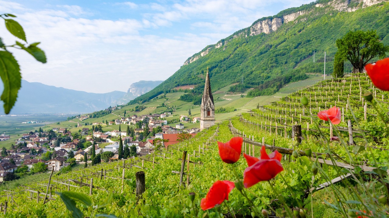 Photo of Outdoor in Tramin