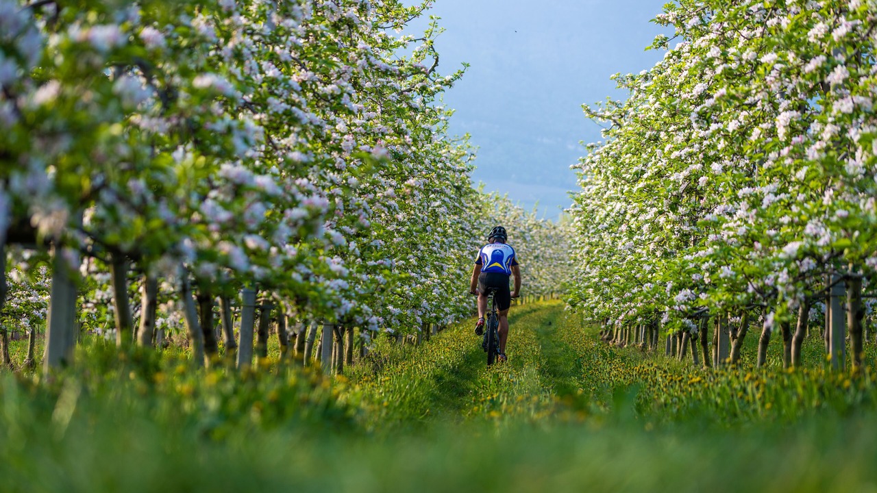 Photo of Outdoor in Tramin