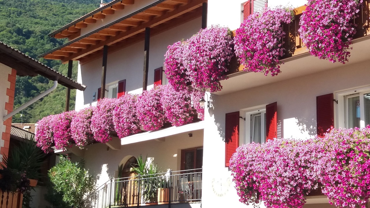 Photo of Outdoor in Tramin