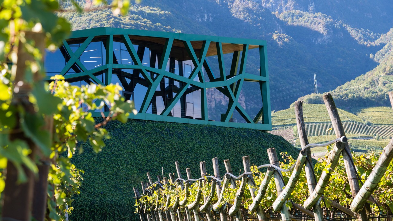 Photo of Others in Tramin