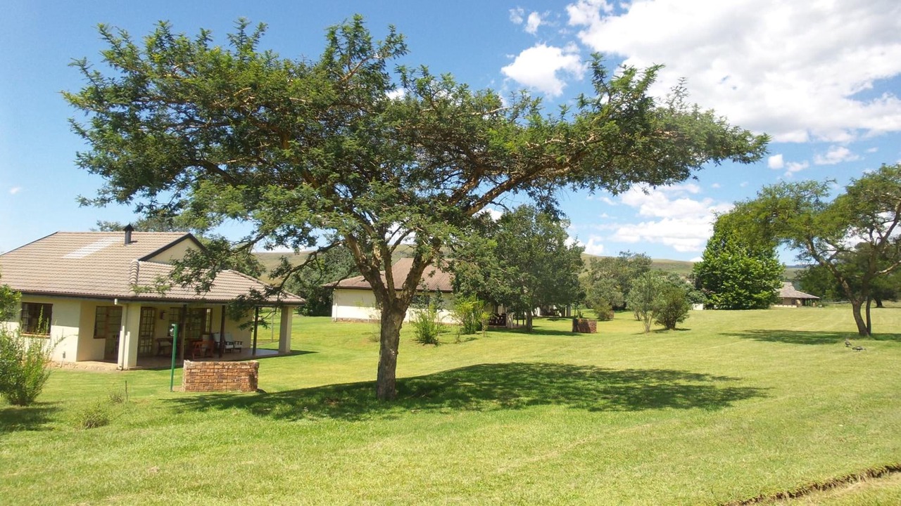 Photo of Outdoor in Cathkin Park