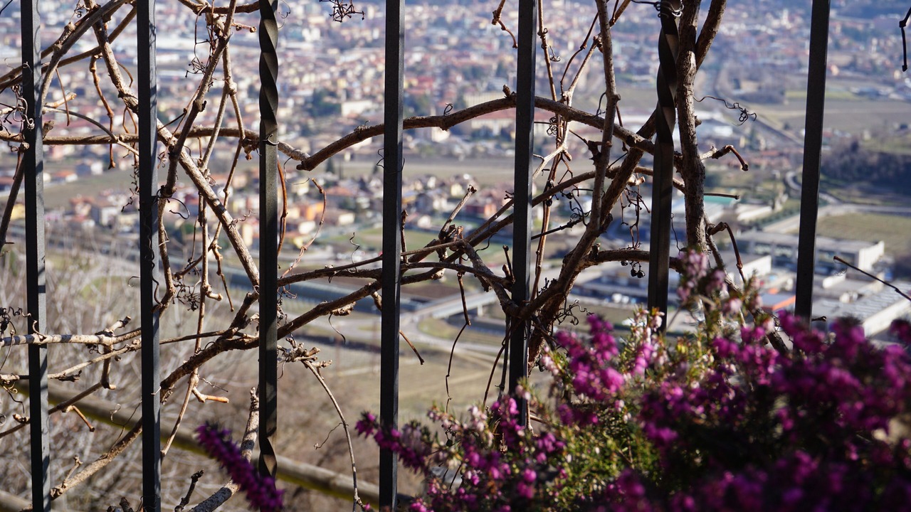 Photo of Outdoor in Isera