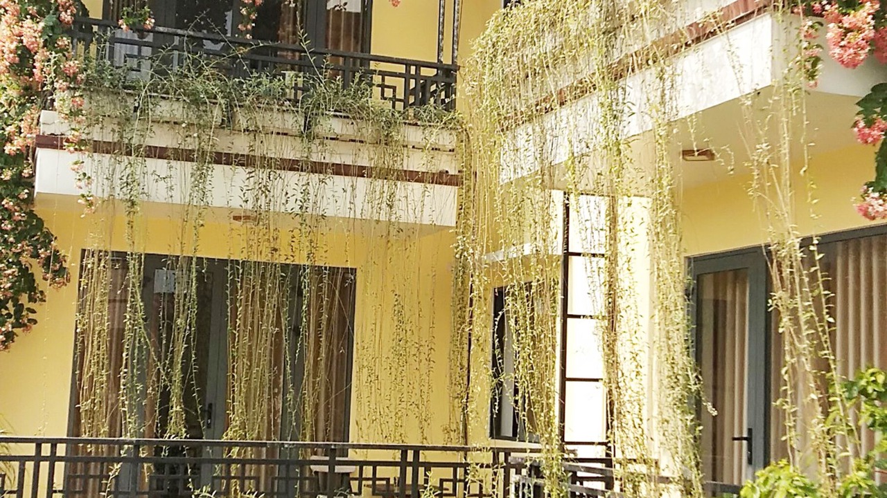 Photo of Outdoor in Hoi An