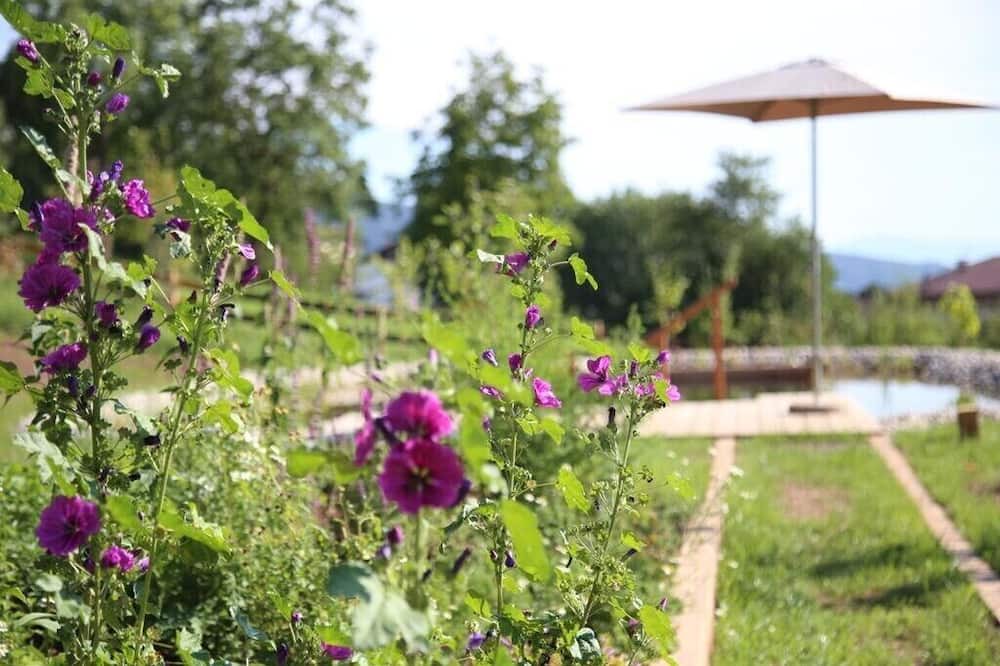Photo of Outdoor in Sarnonico