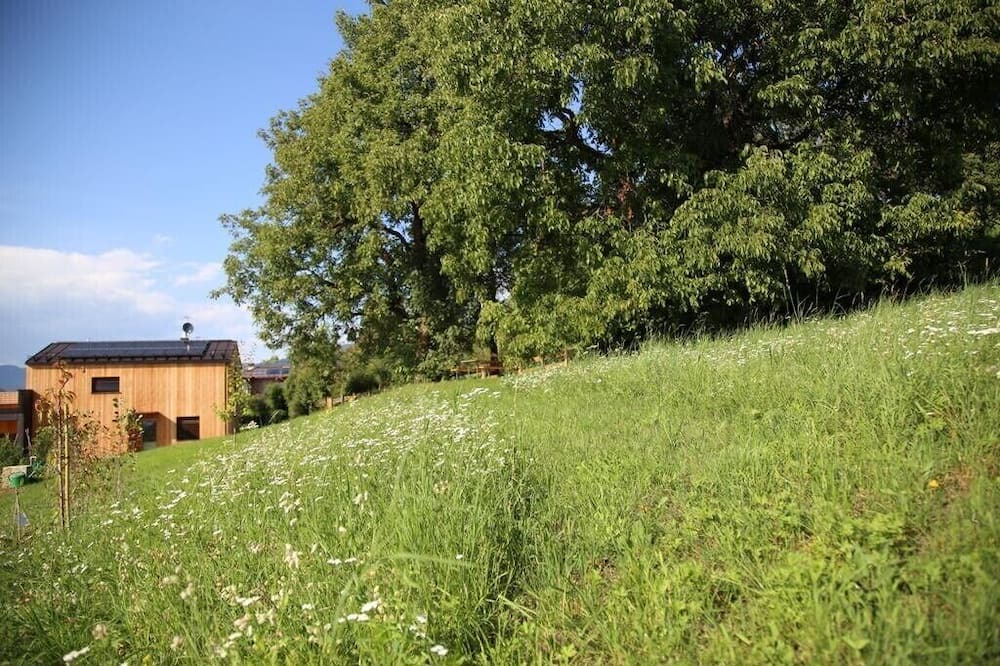 Photo of Outdoor in Sarnonico