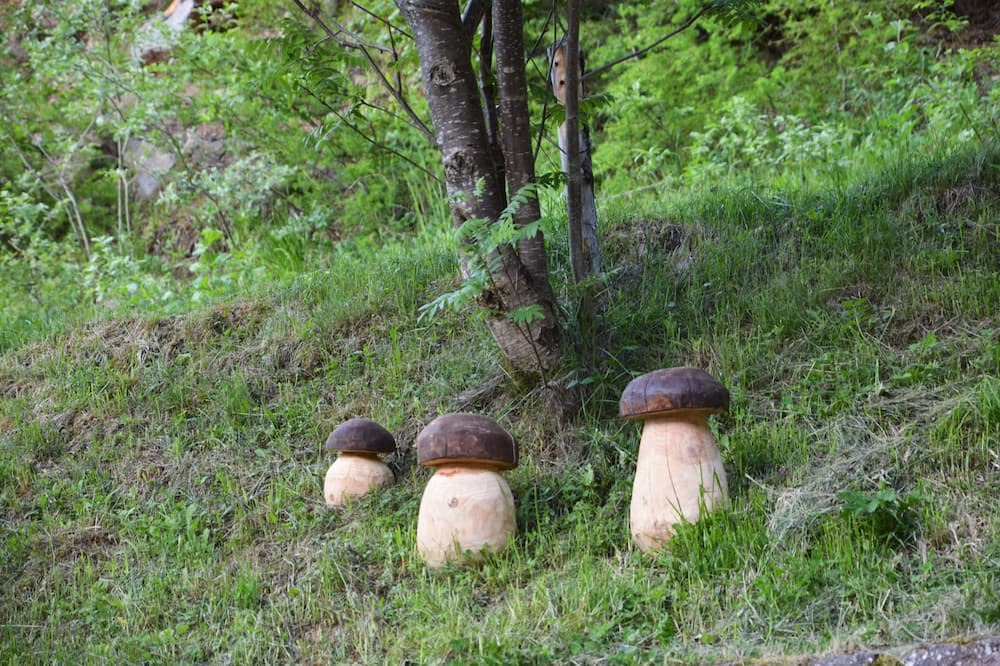 Photo of Outdoor in Palu del Fersina
