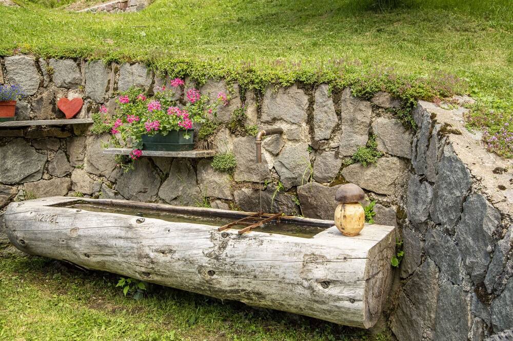 Photo of Outdoor in Palu del Fersina