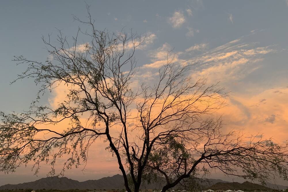 Photo of Others in Montecito in Estrella