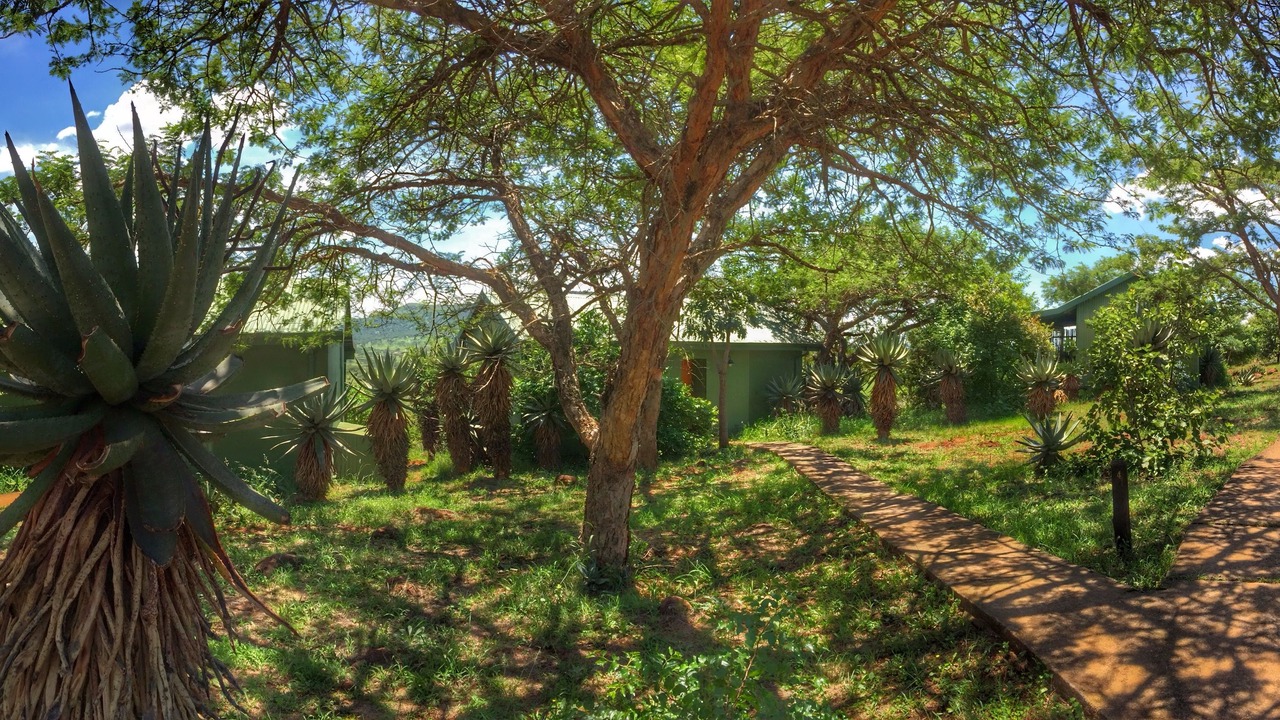 Photo of Others in Bergville