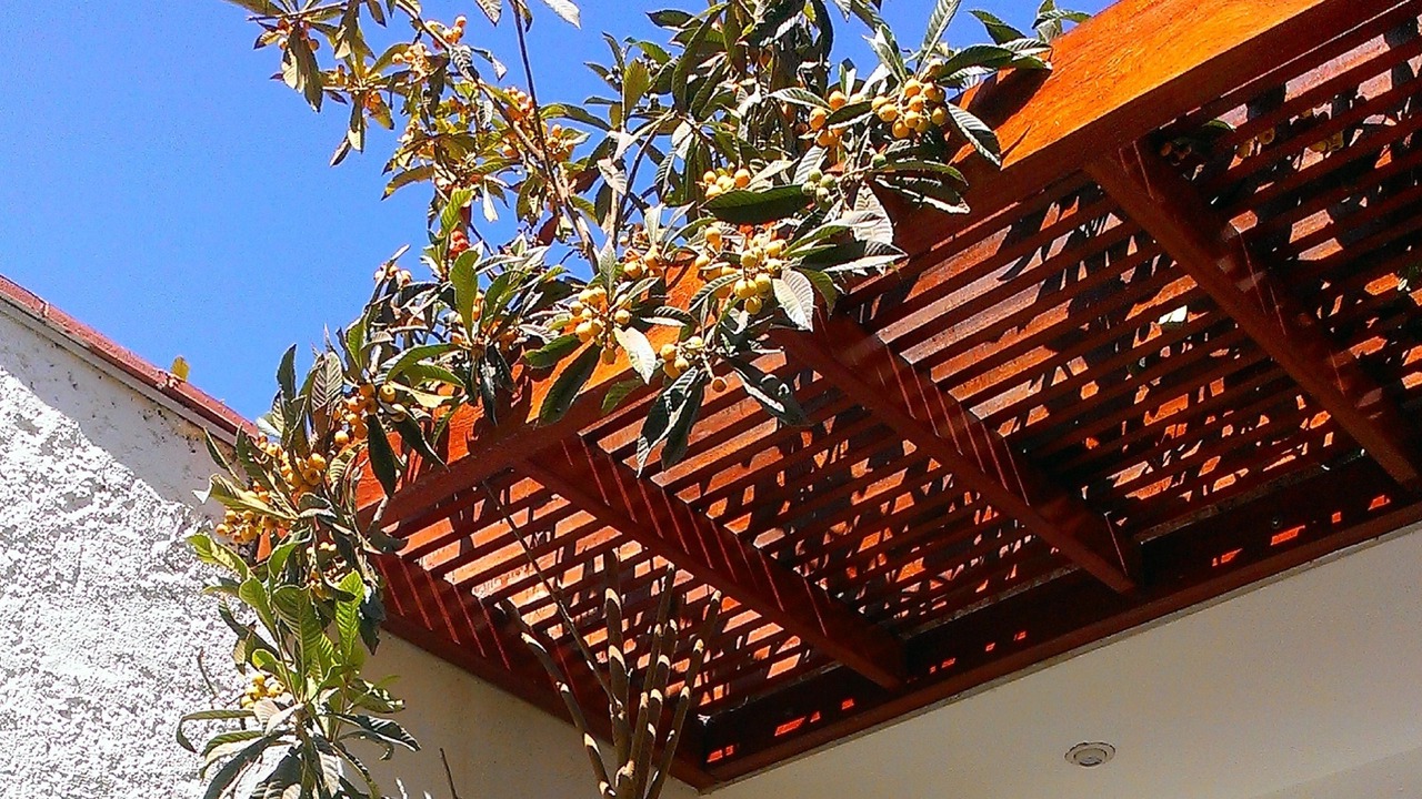 Photo of Outdoor in Lunahuana